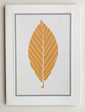 Load image into Gallery viewer, Leaves of the City