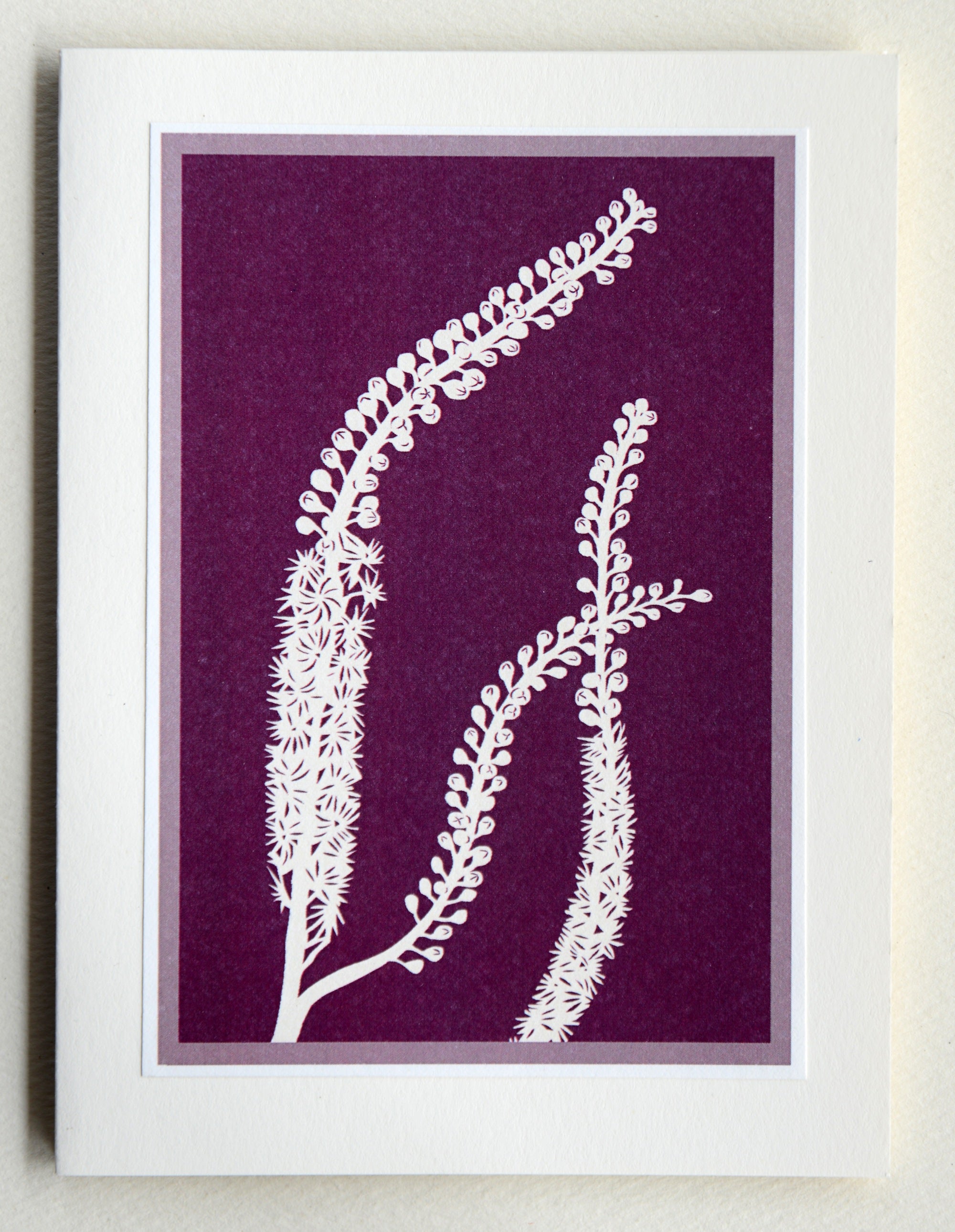 Bugbane