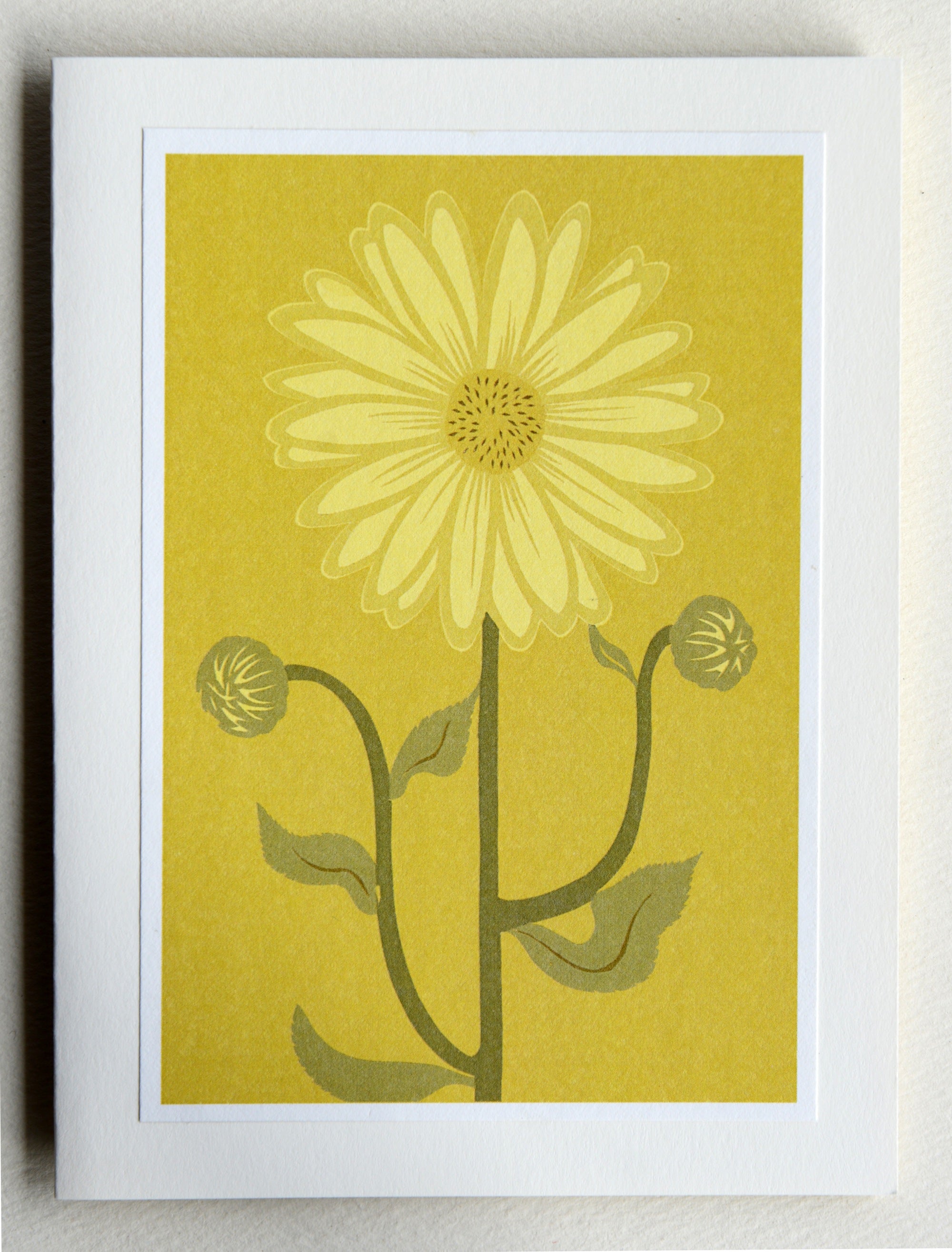 Downy Sunflower
