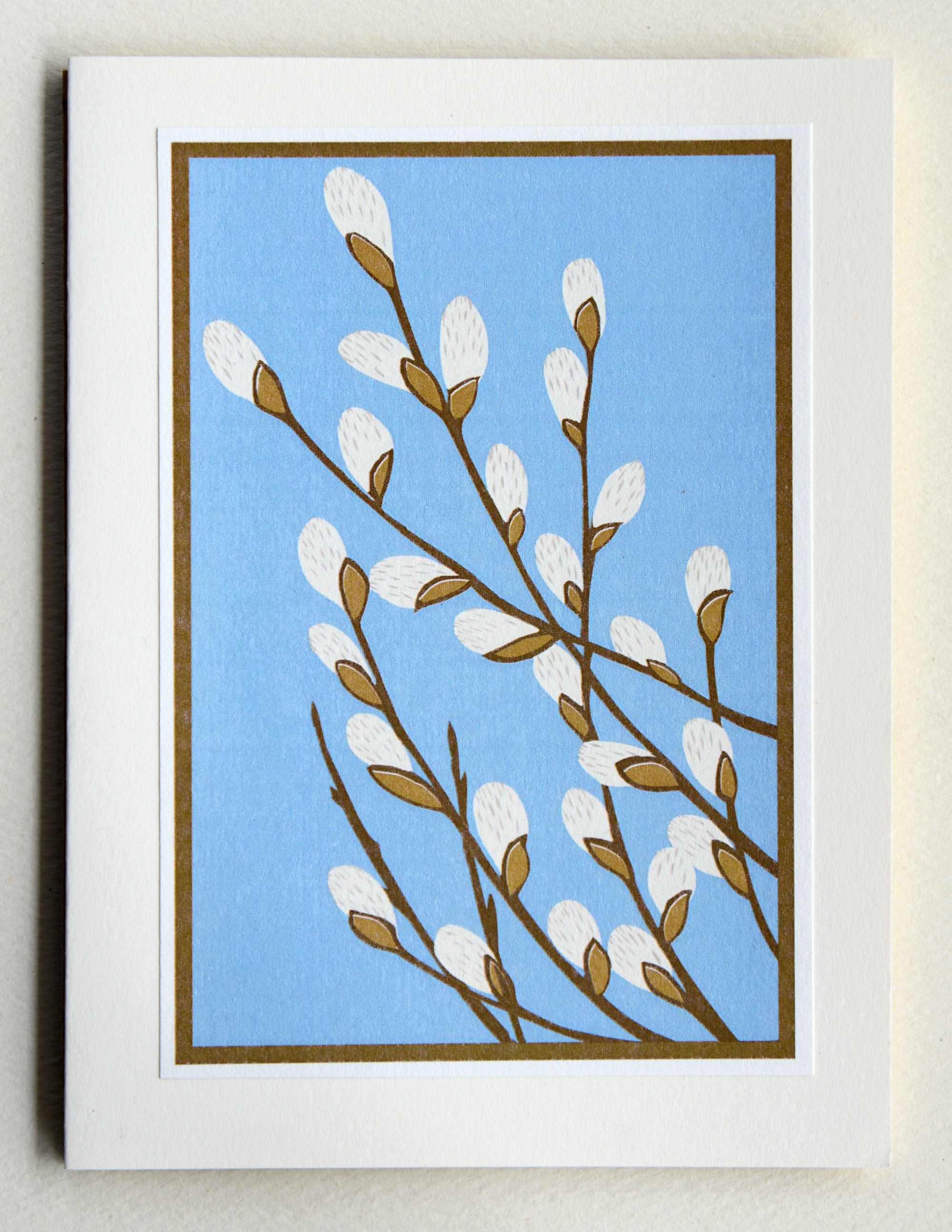 Pussy Willow