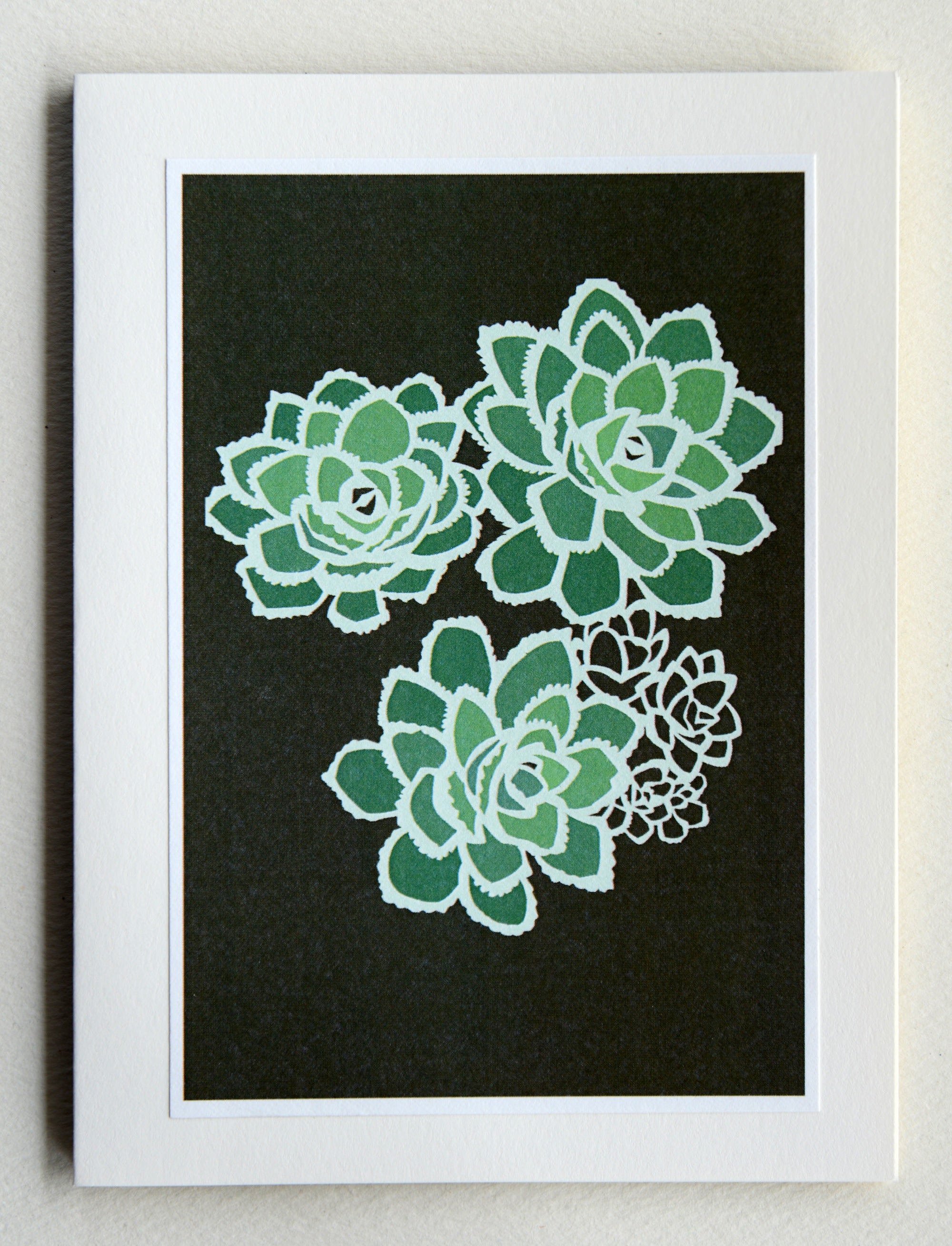 Encrusted Saxifrage